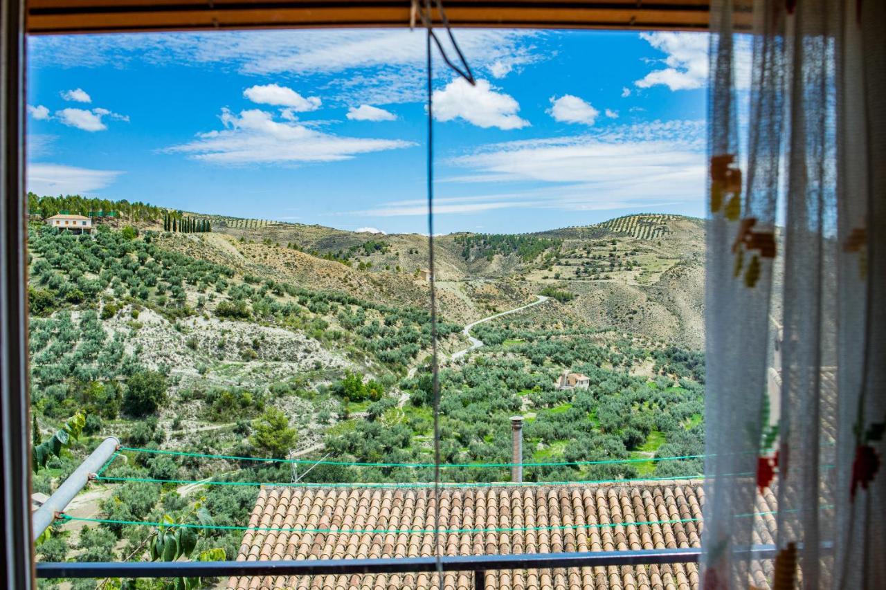 Apartment Oran 3